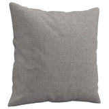 Vidaxl Coussins décoratifs 2 ST 40x40 cm Gris clair