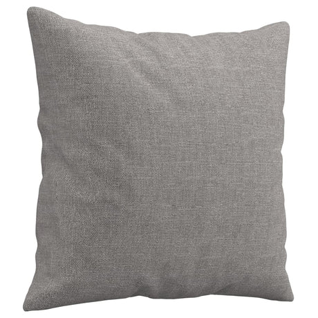 Vidaxl Coussins décoratifs 2 ST 40x40 cm Gris clair