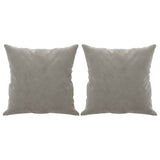 Vidaxl Coussins décoratifs 2 ST 40x40 cm Gris clair en velours