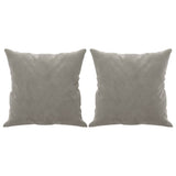 Vidaxl Coussins décoratifs 2 ST 40x40 cm Gris clair en velours