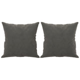 Vidaxl Coussins décoratifs 2 ST 40x40 cm en velours gris foncé