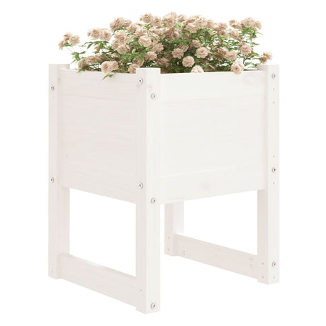 Jardinières vidaxl 2 ST 40x40x52,5 cm Pine solide blanc