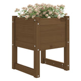 Jardinières vidaxl 2 ST 40x40x52,5 cm