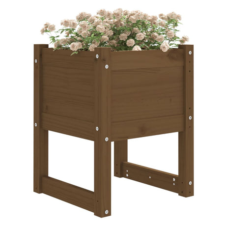 Jardinières vidaxl 2 ST 40x40x52,5 cm