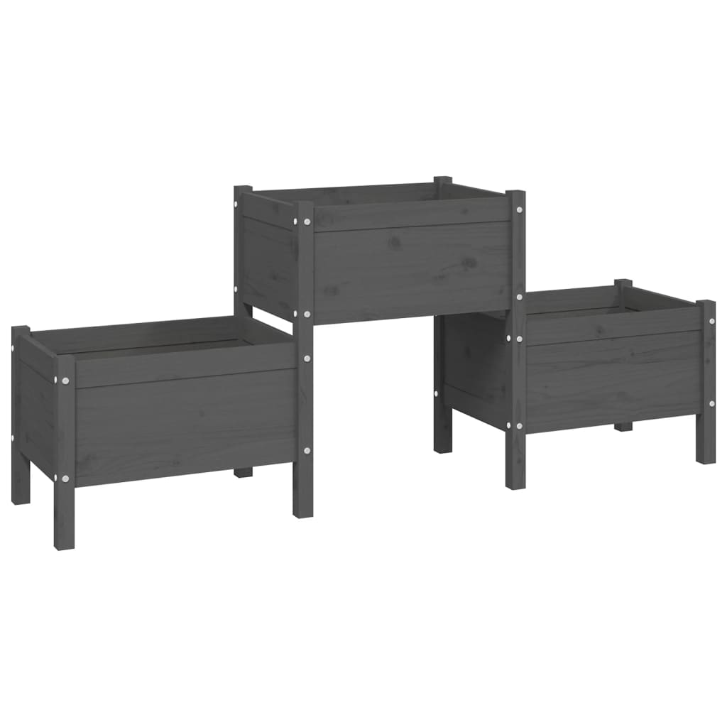 Vidaxl Planning Box 178.5x44x75 cm Gray de pin solide