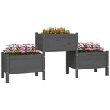 Vidaxl Planning Box 178.5x44x75 cm Gray de pin solide