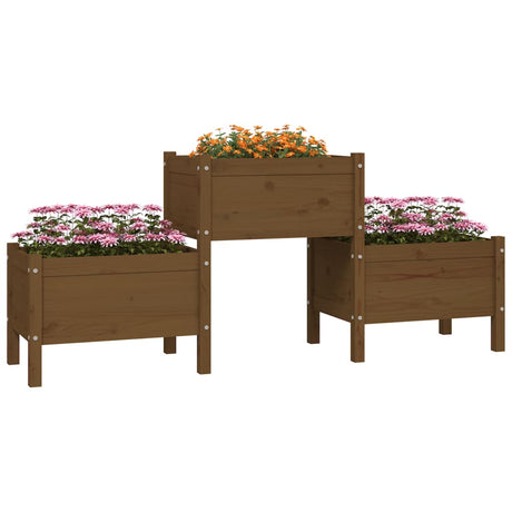 Boîte de planification de Vidaxl 178.5x44x75 cm Pine solide Honey Brown