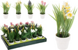 Bloemen in witte pot 23cm - assorti