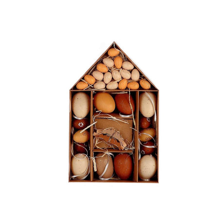 Oeuf de Pâques naturel vivant HBx marron dans une maison en carton