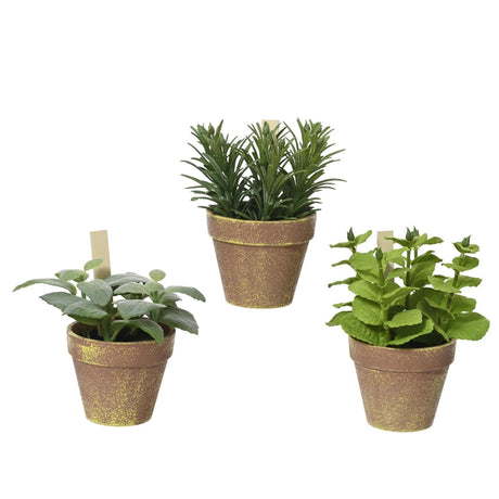 Plante décorative en pot 15x15x17cm