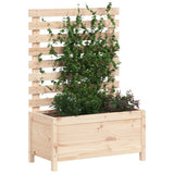 Planteur vidaxl avec rack 79x39.5x114 cm