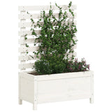 Planteur vidaxl avec rack 79x39.5x114 cm en pin massif blanc
