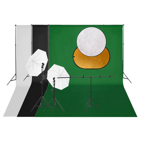 VidaXL Ensemble de studio photo avec fond d'éclairage et réflecteur