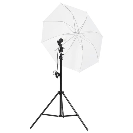 VidaXL Ensemble de studio photo avec fond d'éclairage et réflecteur