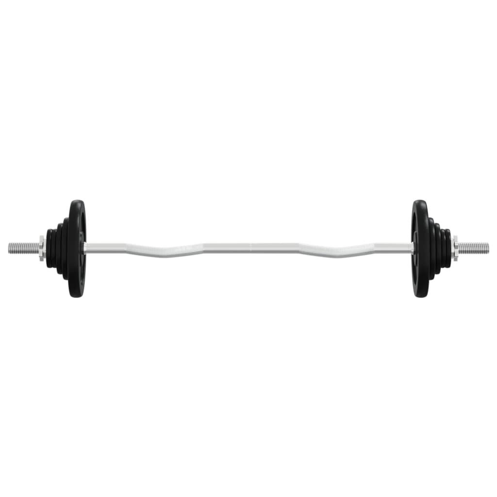 Vidaxl Halter with weights 90 kg cast iron and chromed steel