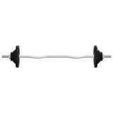 Vidaxl Halter with weights 90 kg cast iron and chromed steel