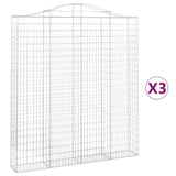 Vidaxl Schans baskets 3 ST vaulted 200x30x220 240 cm iron