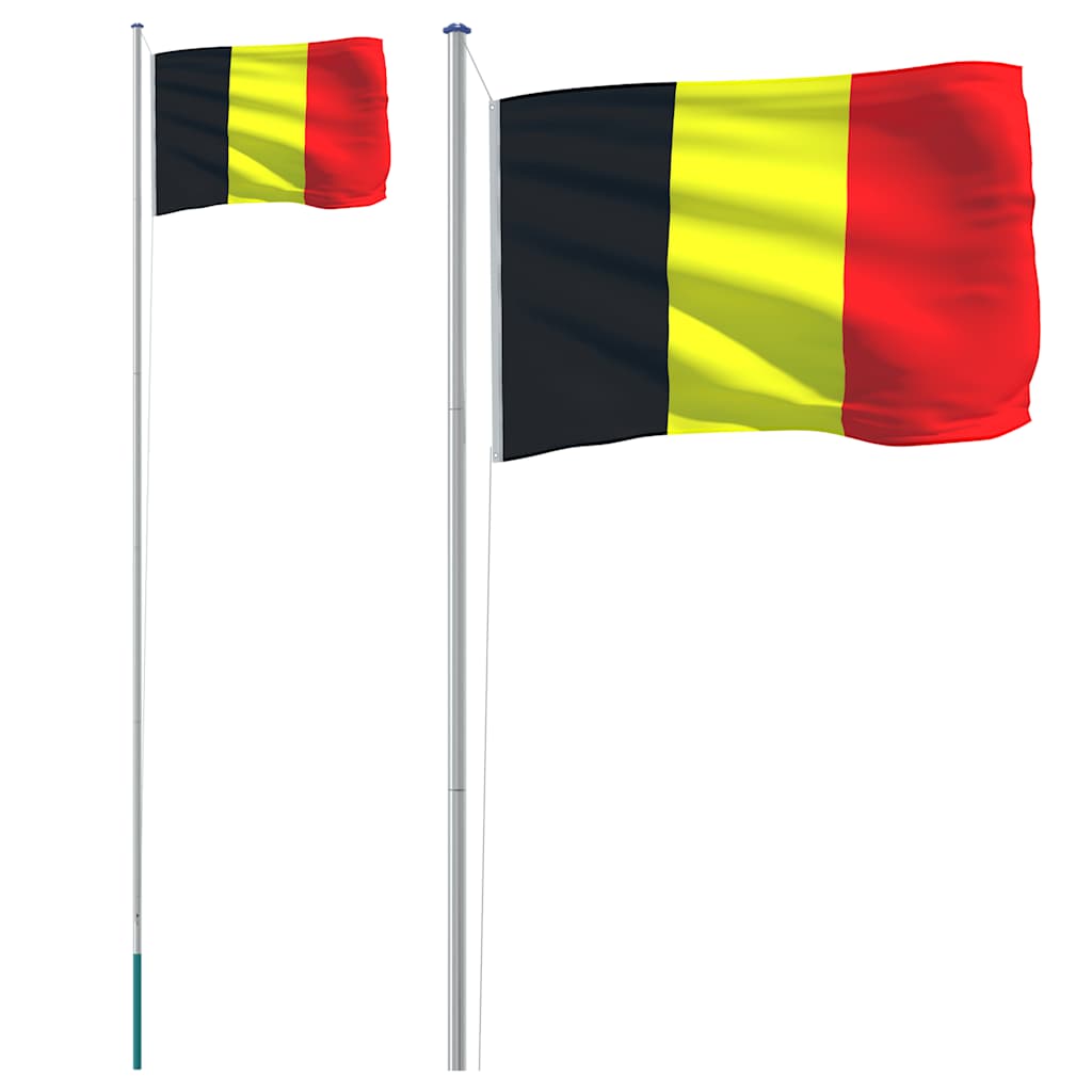 VidaXL Drapeau avec mât 6,23 m aluminium