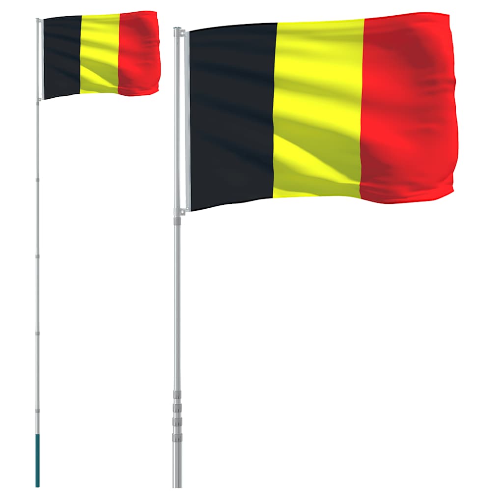 VidaXL Drapeau avec mât 5,55 m aluminium