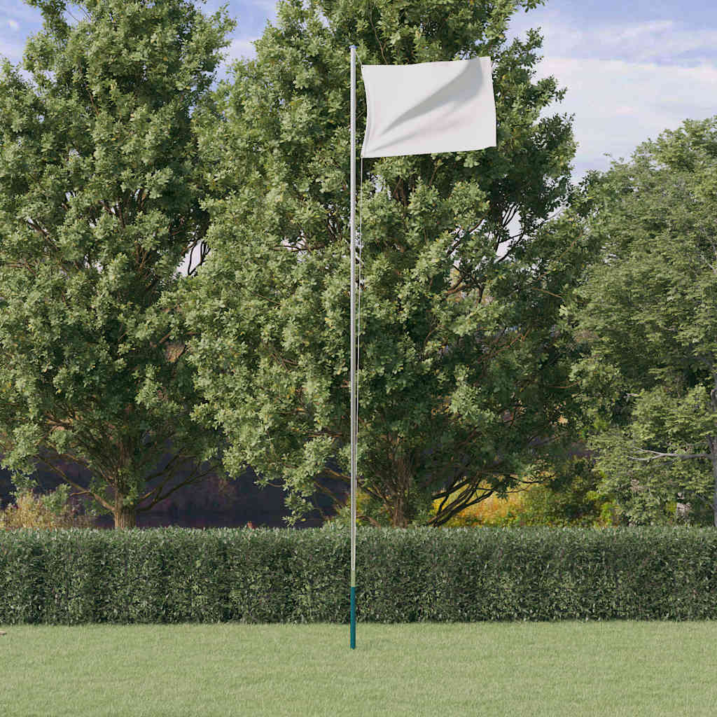 Vidaxx mât de drapeau divisible 6,23 m aluminium argenté