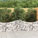 Vidaxx gabion voûté 200x50x60 80 cm en fer galvanisé