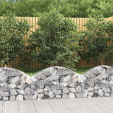 Vidaxx gabion voûté 100x30x40 60 cm en fer galvanisé