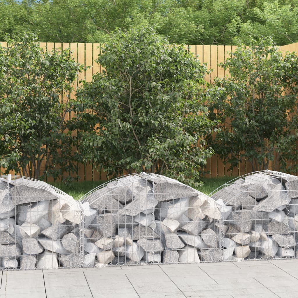 Vidaxx gabion voûté 100x50x40 60 cm en fer galvanisé