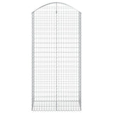 Vidaxx gabion voûté 100x50x200 220 cm en fer galvanisé