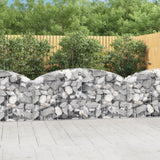 Vidaxx gabion voûté 200x30x80 100 cm en fer galvanisé