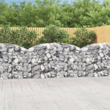 Vidaxx gabion voûté 200x50x100 120 cm en fer galvanisé