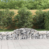 Vidaxx gabion voûté 300x50x40 60 cm en fer galvanisé