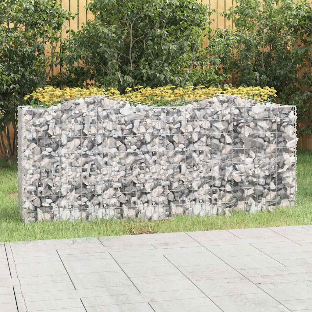 Vidaxx gabion voûté surélevé 200x50x100 cm en fer galvanisé