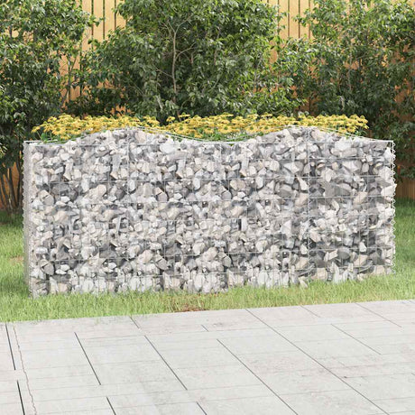 Vidaxx gabion voûté surélevé 200x50x100 cm en fer galvanisé