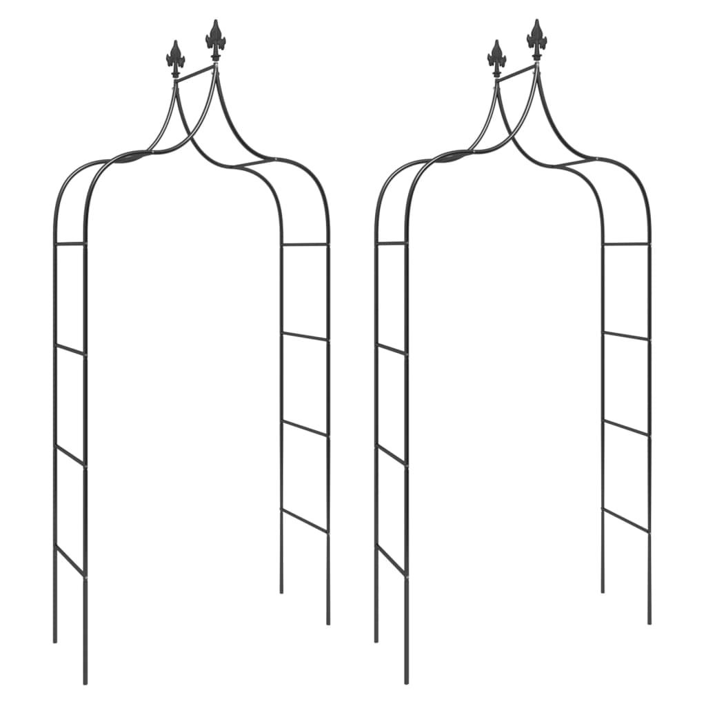VidaXL arches de jardin 2 pcs 120x38x260 cm acier noir