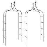 VidaXL arches de jardin 2 pcs 120x38x260 cm acier noir