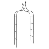VidaXL arches de jardin 2 pcs 120x38x260 cm acier noir