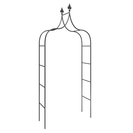 VidaXL arches de jardin 2 pcs 120x38x260 cm acier noir