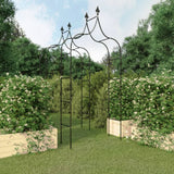 VidaXL arches de jardin 2 pcs 120x38x260 cm acier noir