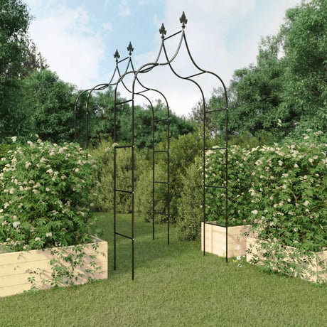 VidaXL arches de jardin 2 pcs 120x38x260 cm acier noir