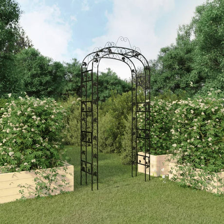 VidaXL arche de jardin 116x45x240 cm acier noir
