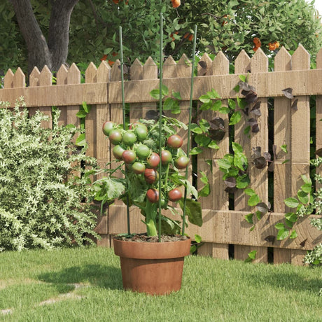 VidaXL supports pour plantes 5 pcs avec 3 anneaux 60 cm acier vert