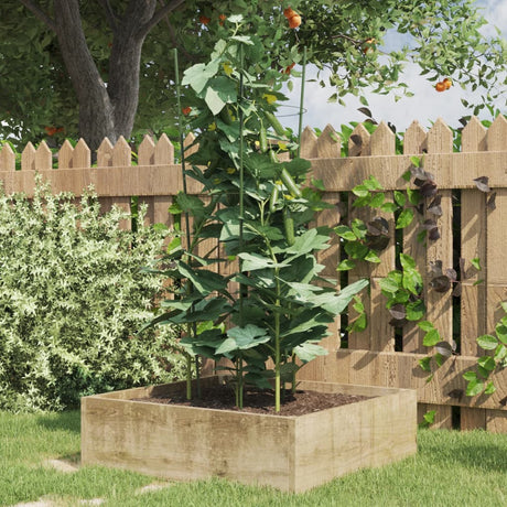 VidaXL supports pour plantes 5 pcs avec 3 anneaux 75 cm acier vert