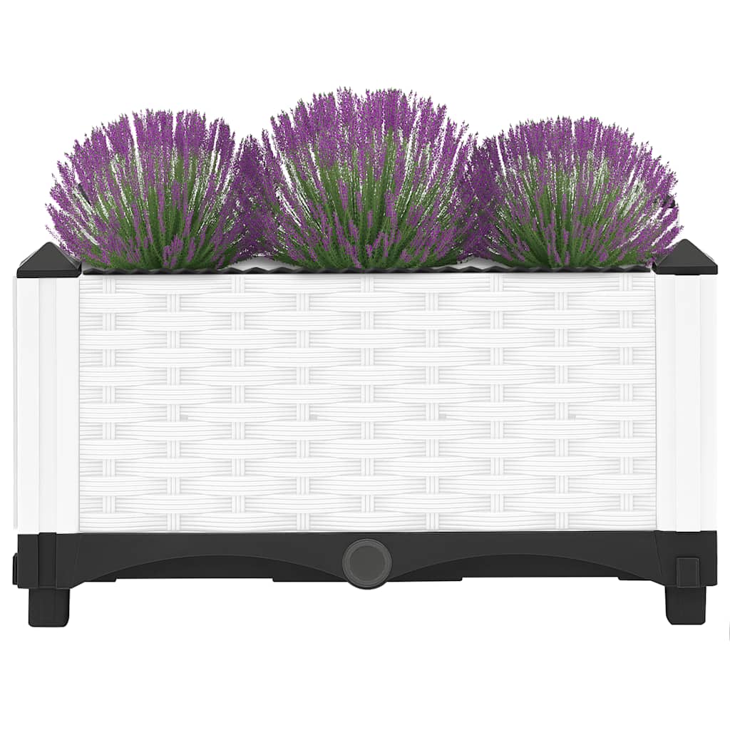 Vidaxx jardinière surélevée 40x40x23 cm polypropylène