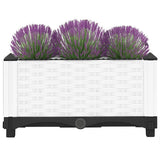 Vidaxx jardinière surélevée 40x40x23 cm polypropylène