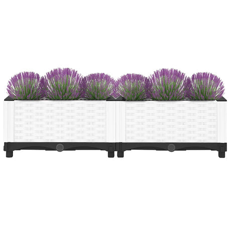 Vidaxx jardinière surélevée 80x40x23 cm polypropylène