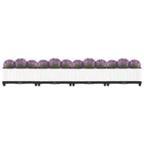 Vidaxx jardinière surélevée 160x40x23 cm polypropylène