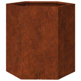 Vidaxx jardinière rouillé 40x40x45 cm acier corten