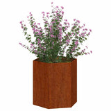 Vidaxx jardinière rouillé 40x40x45 cm acier corten