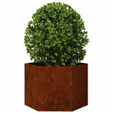 Vidaxx jardinière rouillé 60x60x45 cm acier corten