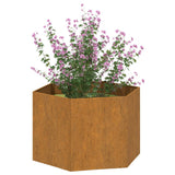 Vidaxl plantenbak roestig 60x60x45 cm cortenstaal